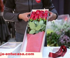 Florería Internacional Necesita Personal Para Empacar Cajas de Rosas desde casa
