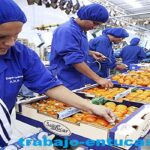 Se Necesita Urgente Personal Para Empacar y Etiquetar Frutas Seleccionadas desde casa Plazas Limitadas