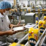 Convocatoria de Trabajo Fabrica Solicita Personal para Rellenar Harina de Maiz en Bolsas Desde Casa