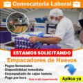 URGENTE SOLICITAMOS EMPACADORES DE HUEVOS ECOLOGICOS EMPLEO FORMAL DESDE CASA PLAZAS LIMITADAS