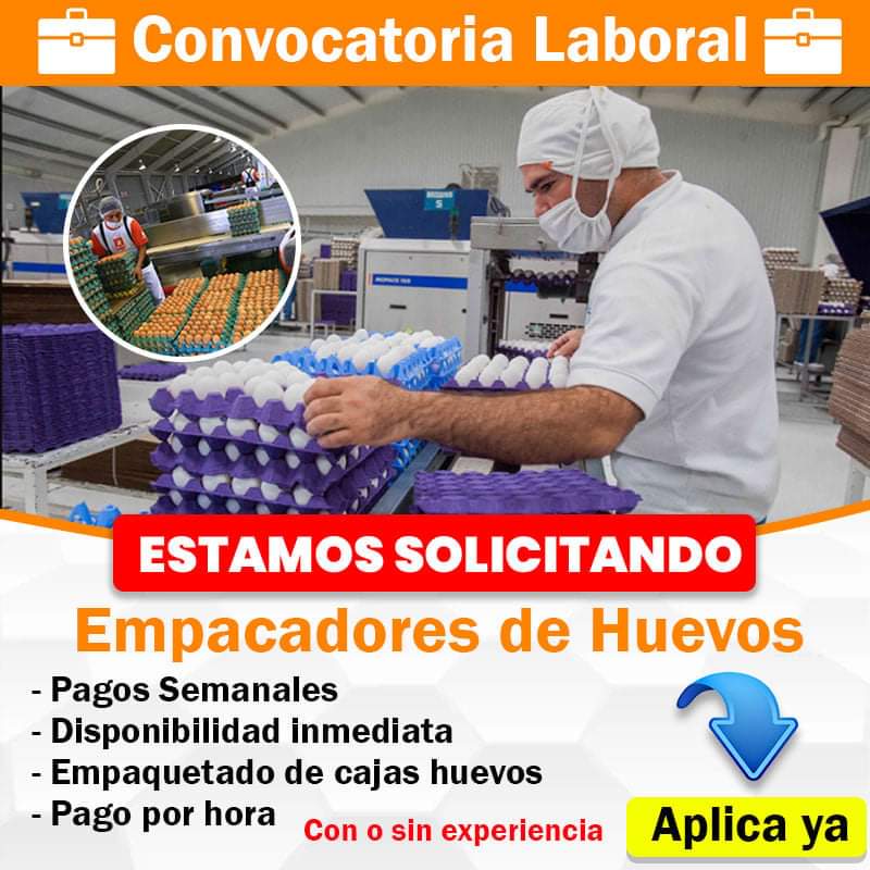 URGENTE SOLICITAMOS EMPACADORES DE HUEVOS ECOLOGICOS EMPLEO FORMAL DESDE CASA PLAZAS LIMITADAS