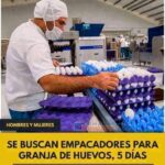 Se Buscan Empacadores para Huevos de Granja Ecológicos Plazas Limitadas